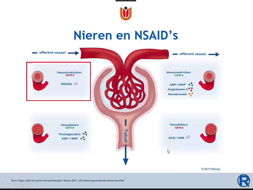 Nieren en NSAID's - Hormonen invloed bloedvaten