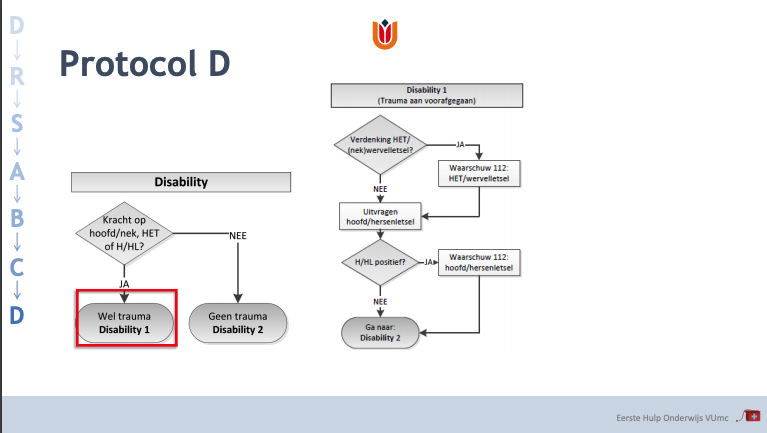 Protocol Disability 1