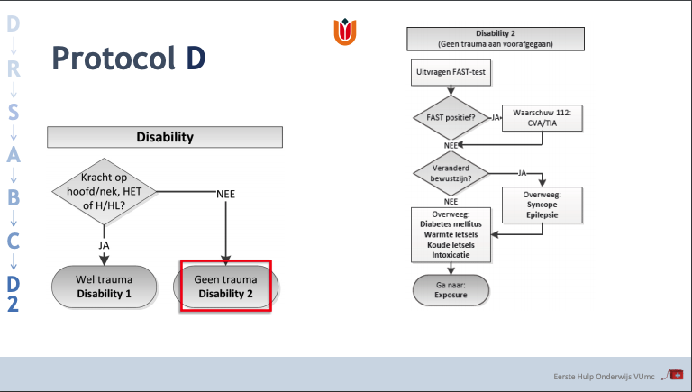 Protocol Disability 2