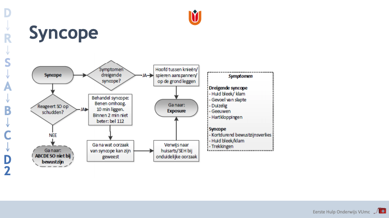 Protocol Syncope