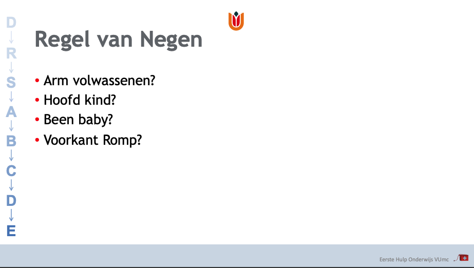 Hoe groot is het brandwondoppervlak van deze lichaamsdelen in percentage van het totale lichaam?