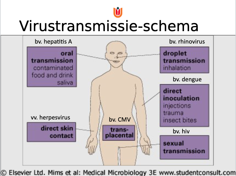 Transmissiemethoden Virus