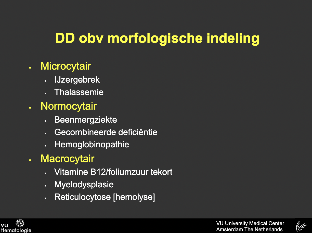 DD hematologische aandoeningen op basis van MCV