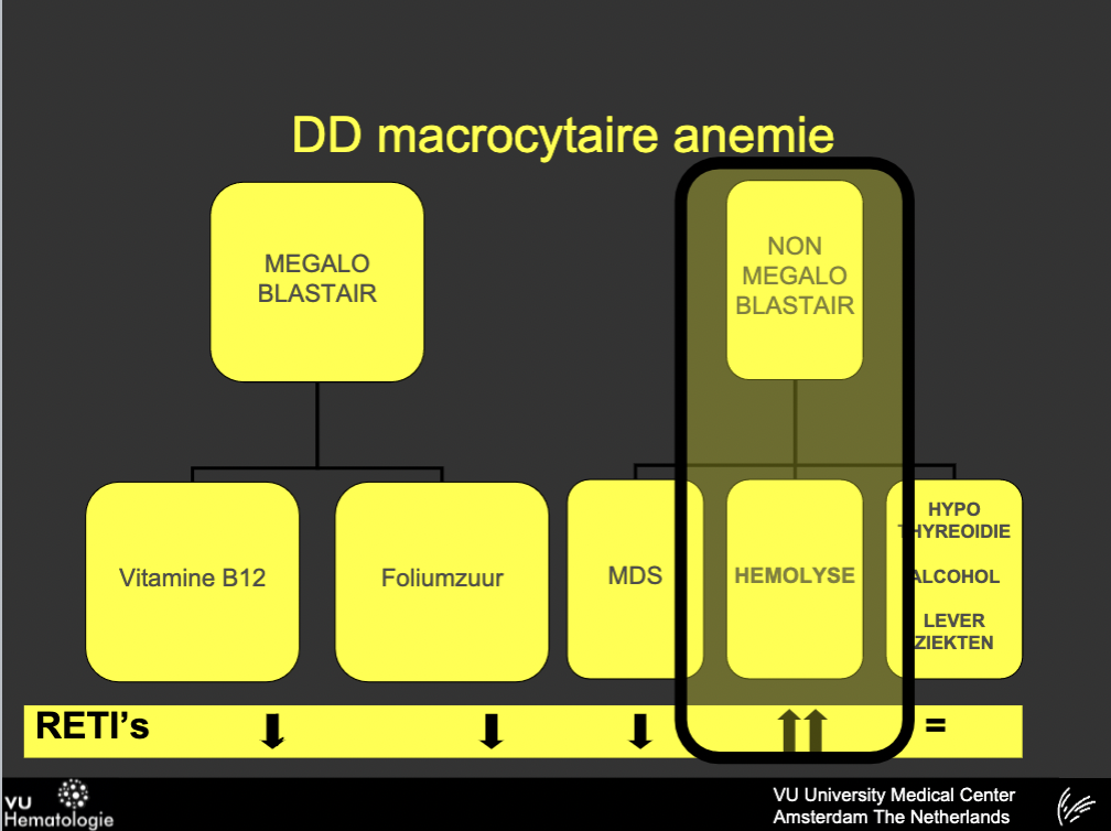 Macrocytaire anemie