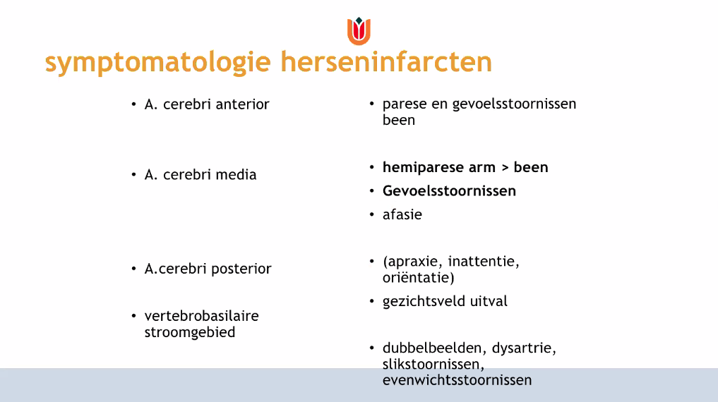 Herseninfarct per arteria