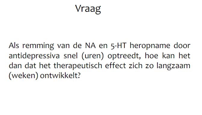 (geen vraag)