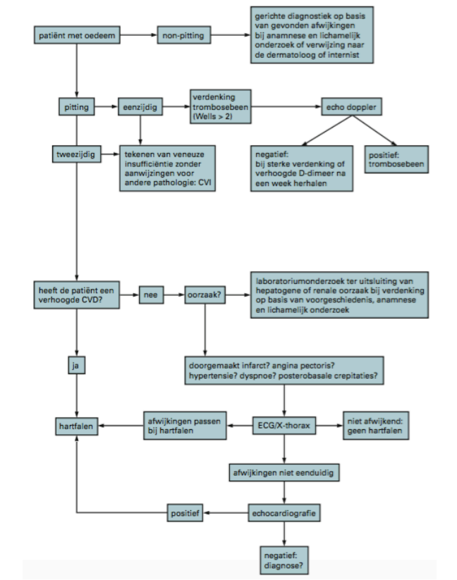 Complexe Diagnostiek Perifeer Oedeem - Stroomdiagram
