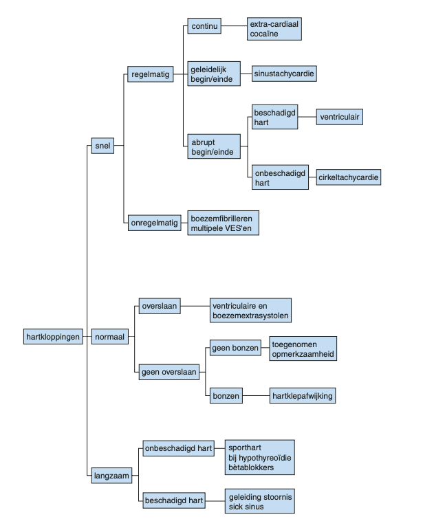 Stroomdiagram diagnostiek Ritmestoornissen - Hartkloppingen