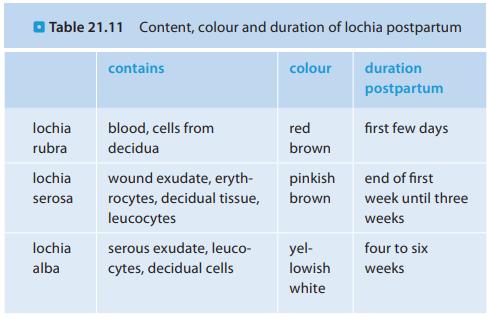 Lochia post partum: vagina uitscheiding na bevalling