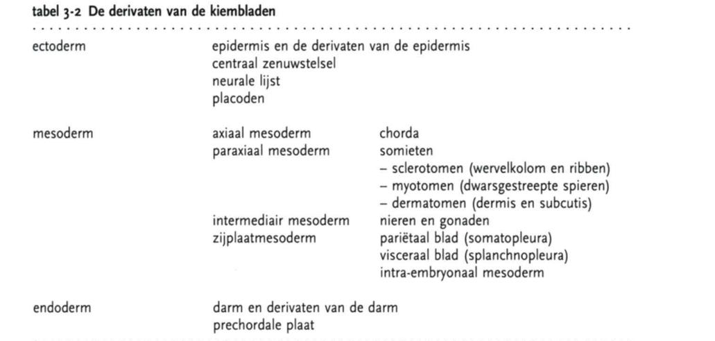 organen uit kiembladen