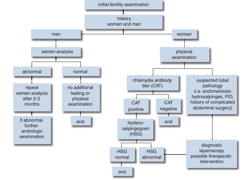 Fertility examination